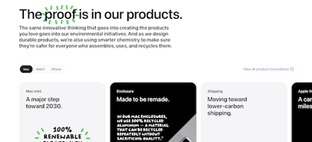 Mary Austin esg rep thumbnail