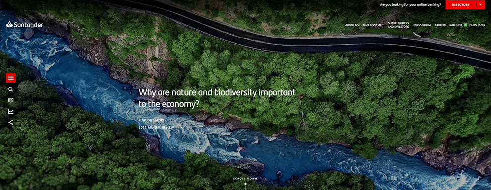 Santander’s striking use of nature imagery and headlines on their corporate home page