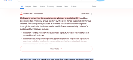 Googleaioverviewslim