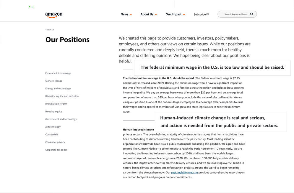 georgia amazon
